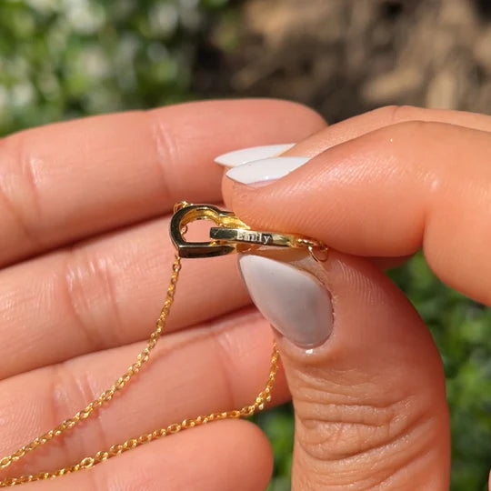 Oso con Rosa Eterna & Collar Personalizado con Nombres