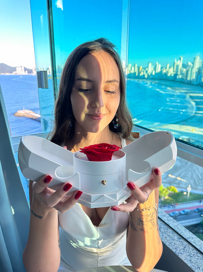 Coffret Rose Éternelle & Collier Cœur Personnalisé – Offre -50%