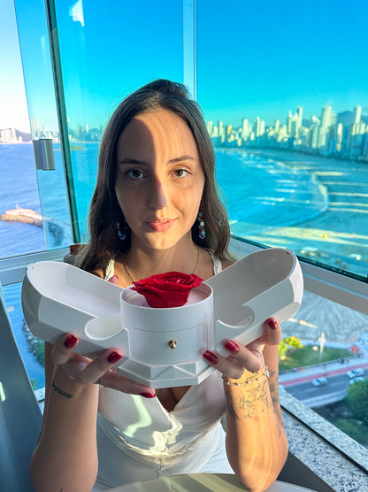 Coffret Rose Éternelle & Collier Cœur Personnalisé – Offre -50%